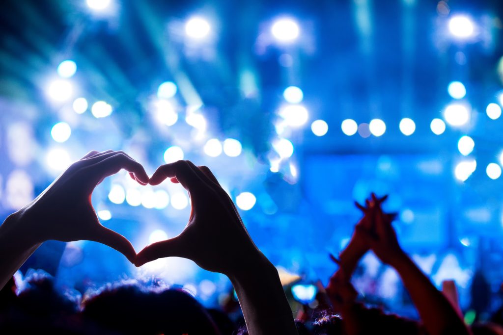 Crowd of Audience at during a concert
